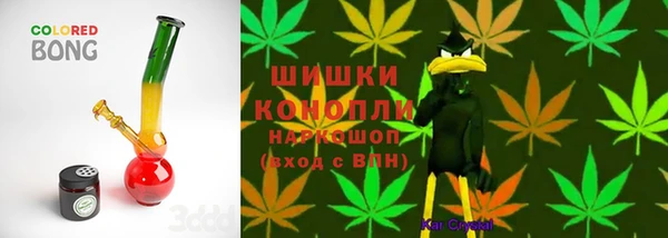 сатива Абдулино