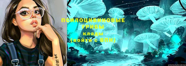 гашик Протвино