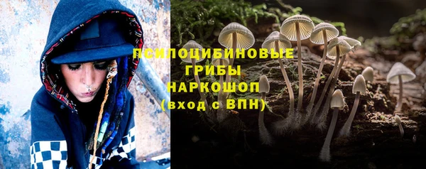 гидропоника Абинск