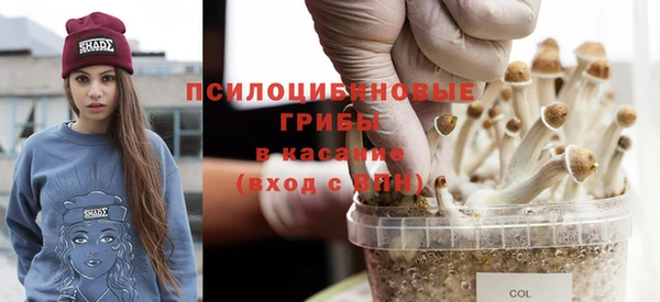гидропоника Абинск