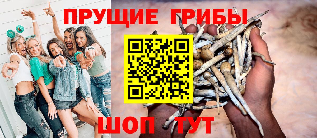 Галлюциногенные грибы Cubensis  Псилоцибиновые грибы Psilocybe  Соликамск  Вход с VPN 